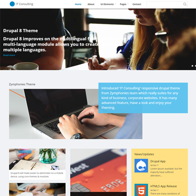 IT Consulting Theme